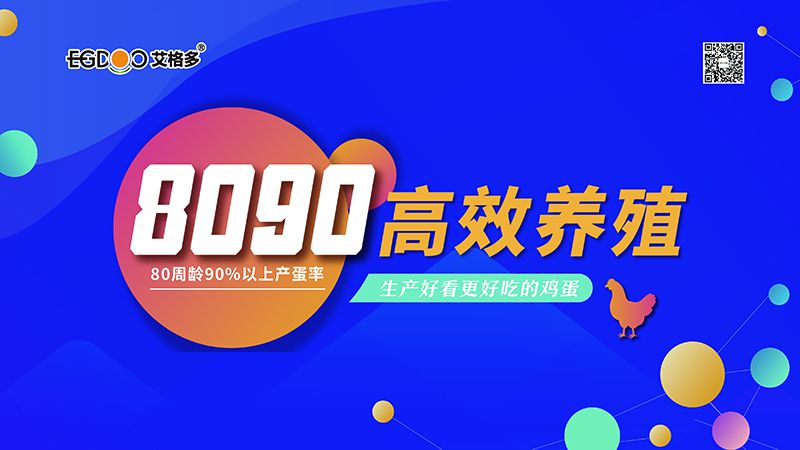 四會連開，艾格多8090高 效養(yǎng)殖700天唐山區(qū)域線下交流會成功舉辦