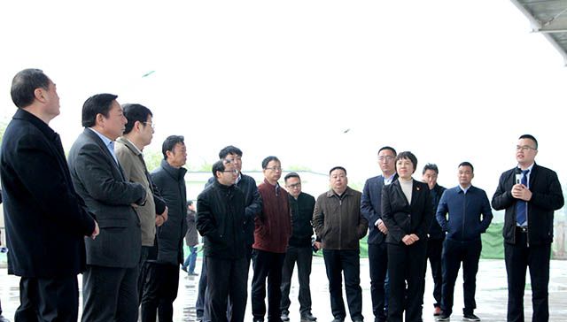 鶴壁市委常委、常務副市長等領導來岐伯基地視察并指導工作