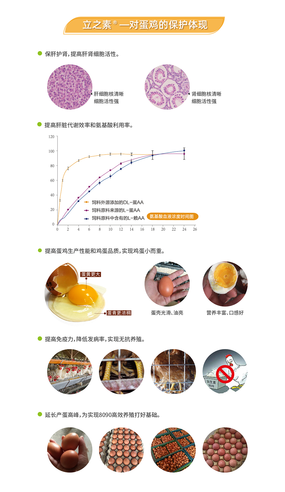 20220606 EA系列_產(chǎn)品詳情頁(yè)_畫(huà)板 3